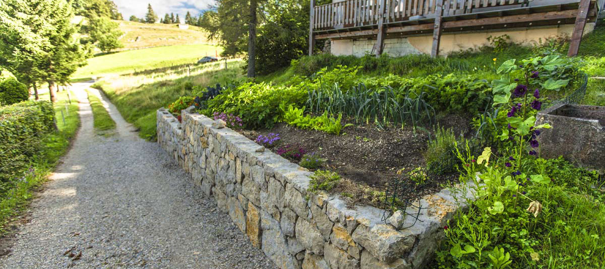 Entretien de jardins