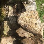 alpage-1-crop-u323711_2x