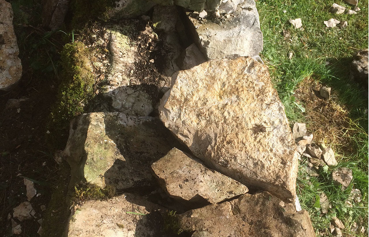 alpage-1-crop-u323711_2x