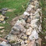 alpage-14-crop-u343534_2x