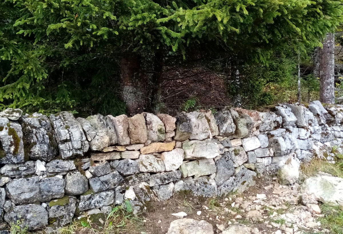 alpage-3-crop-u343887_2x