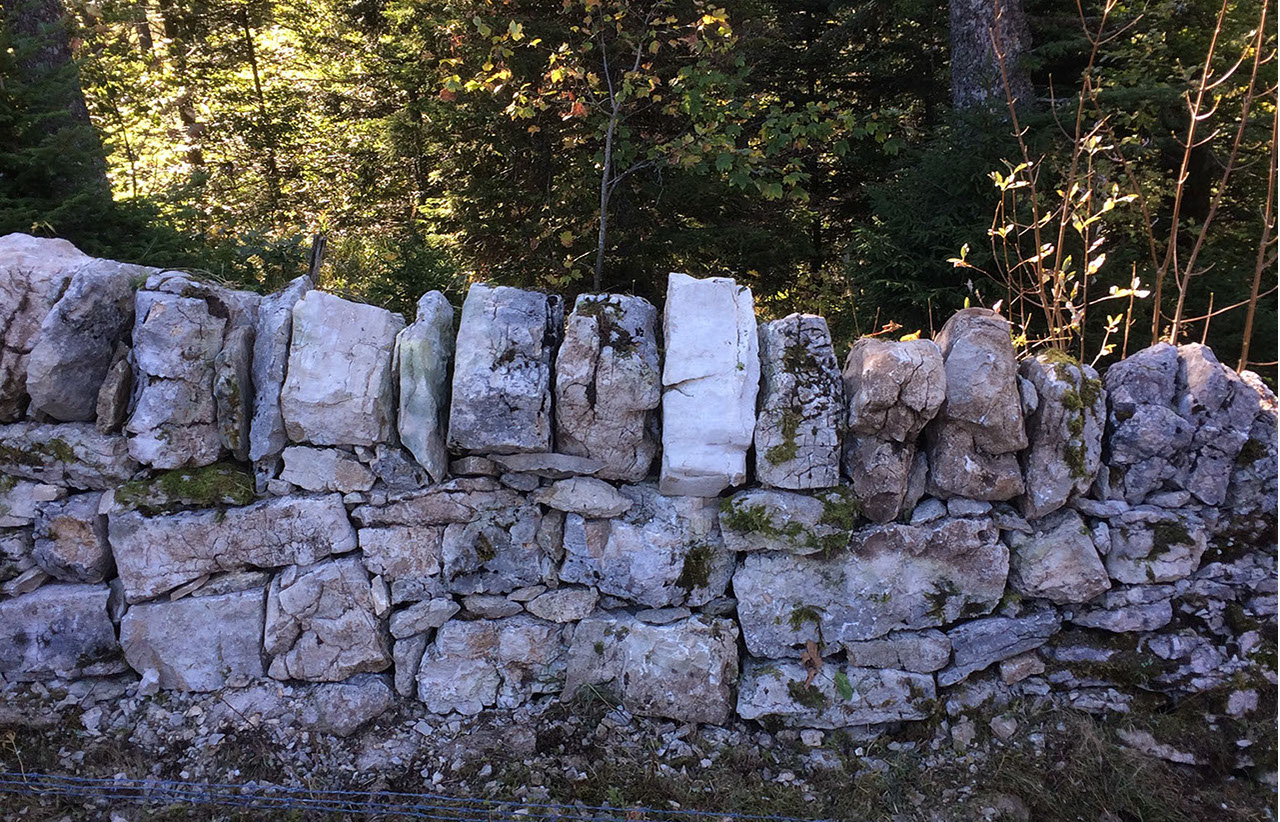 alpage-4-crop-u343198_2x