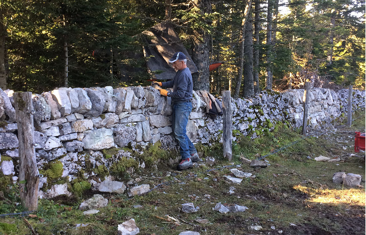 alpage-5-crop-u343240_2x