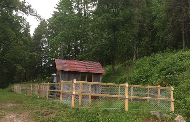 cloture-bois-13-crop-u344317