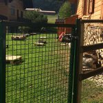 cloture-bois-7-crop-u300668