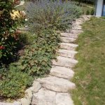 VLUU L110, M110  / Samsung L110, M110