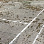 gazon-rouleaux-2-crop-u300875_2x