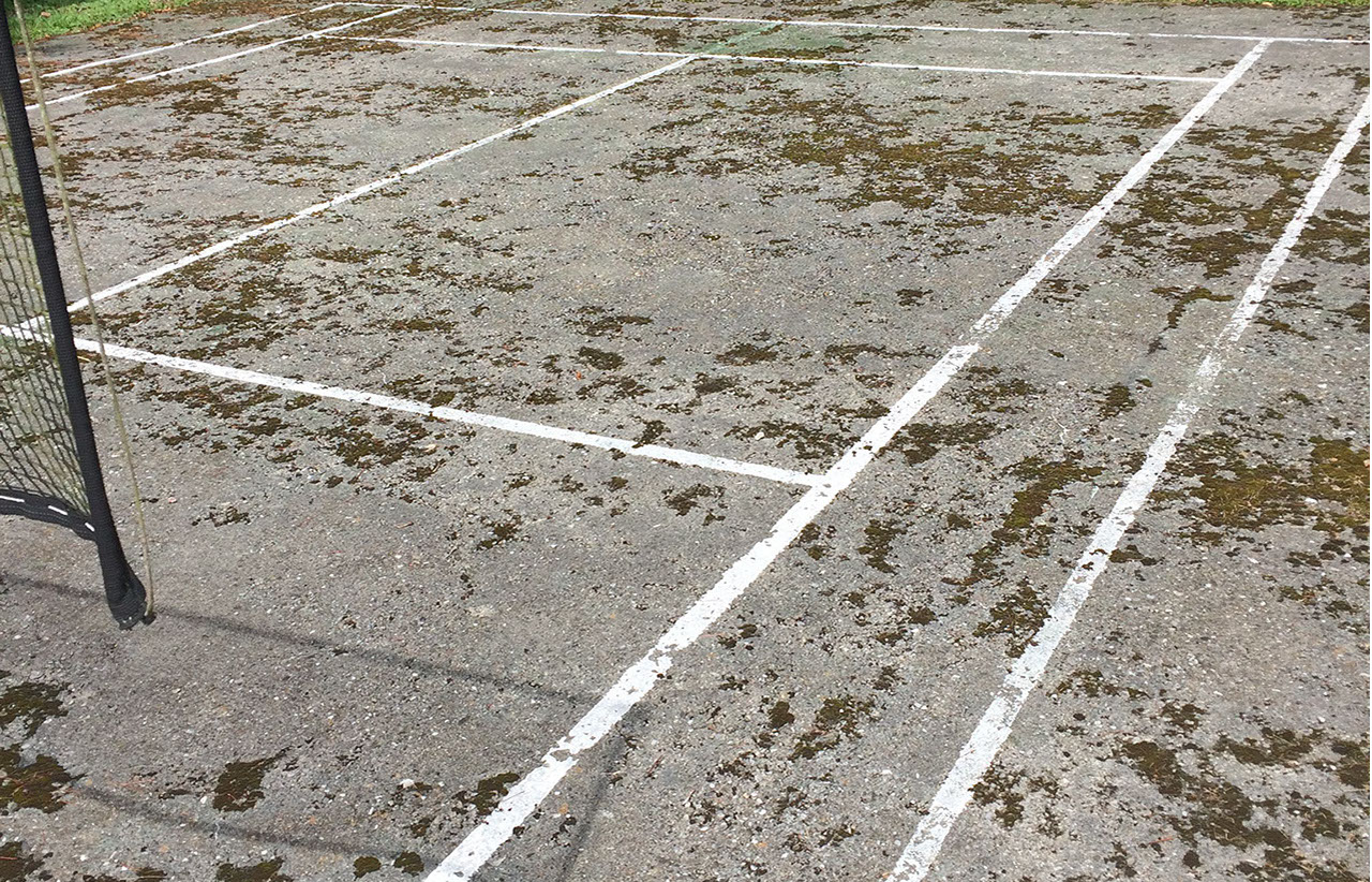 gazon-rouleaux-2-crop-u300875_2x