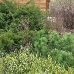 rocailles-14-crop-u346773_2x