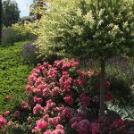 rocailles-9-crop-u312240_2x